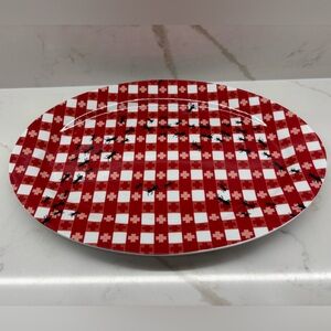 Pier 1 Imports Red Checkered Picnic Platter Ants Retro Inspired Kitsch Kitchen